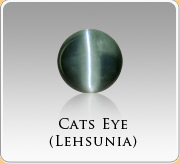 Cats Eye (Lehsunia)